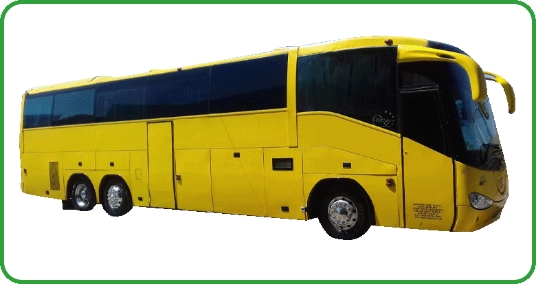 banner-autobuses